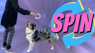 How to Teach Your Dog to Spin by Mix Match Dog Trick Tutorials 111 views 3 years ago 4 minutes, 39 seconds