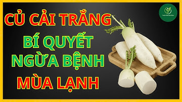 CỦ CẢI TRẮNG – Bí quyết ngừa bệnh mùa lạnh | Vườn Ươm Sức Khỏe