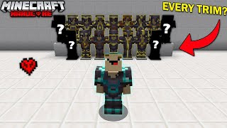 I Collected Every Armor Trim In Minecraft Hardcore