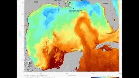 Uncovering Hidden Currents in the Gulf of Mexico