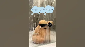 ممنون میشم یه بیلاخ بزنی مدرسه مهر Shorts 