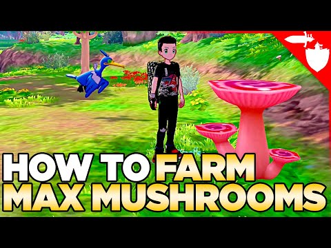 Vídeo: Pok Mon Isle Of Armor: Localizações De Max Mushroom - Como Encontrar Max Mushrooms Para O Segundo Desafio Do Dojo