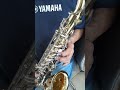 Vídeo Teste Sax Alto Yamaha YAS 23 Zerado