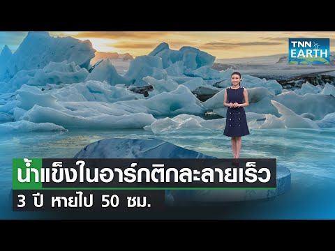 น้ำแข็งในอาร์กติกละลายเร็ว 3 ปี หายไป 50 ซม. | TNN EARTH | 15-04-22