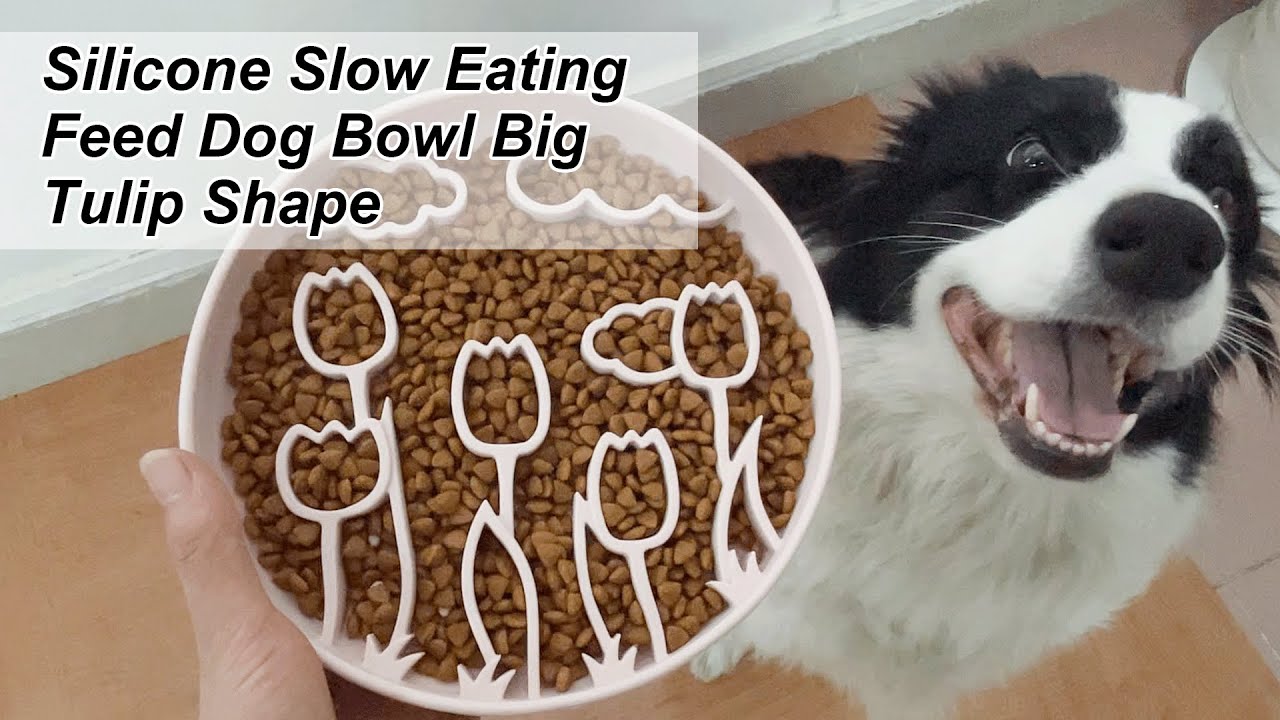 Tulip Bowl-Slow Food Design-Silver Peony