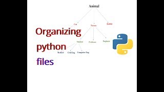How to professionally organize Python Scripting ?