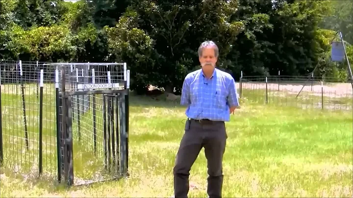 Feral Hog Biology Basics