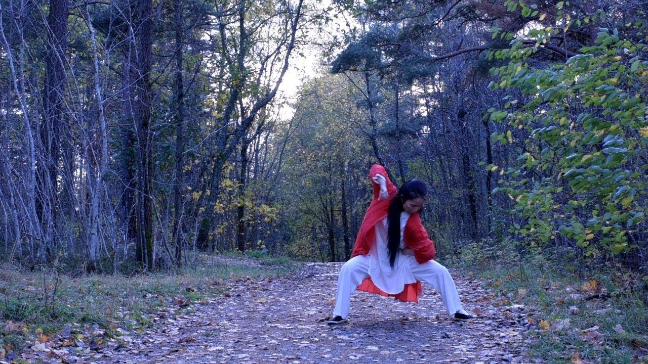 Chen style TaiJi - Lao Jia yi lu （老架一路） - 74 Steps - Part 3 (steps 15 ...