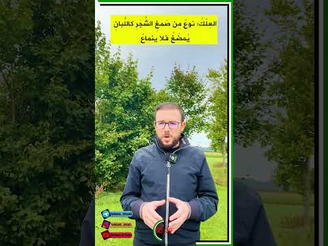 أنت واحد علاك ما معنى علاك في اللغة العربية