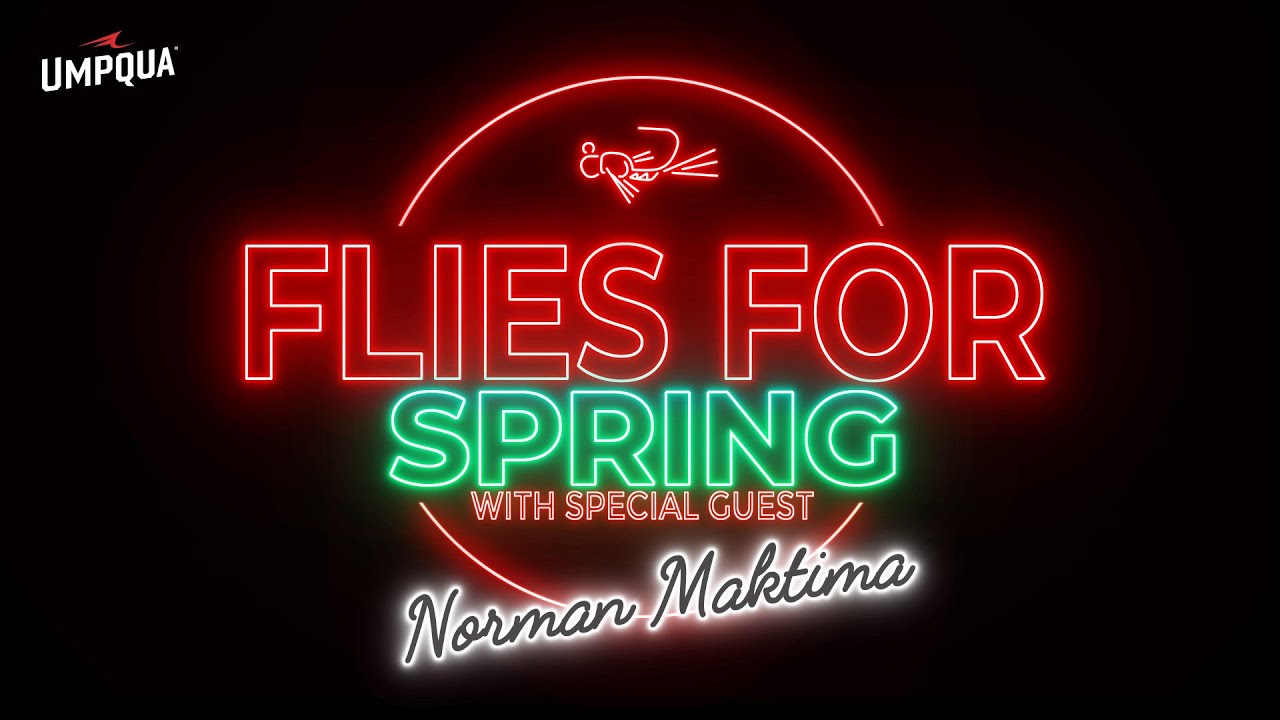 Flies For Spring