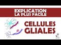 Lexplication la plus facile  les cellules gliales