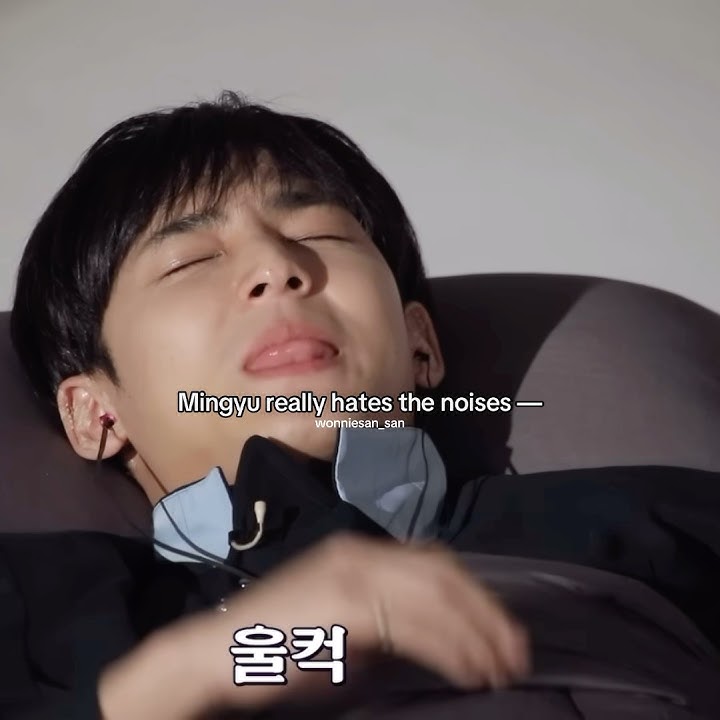 I love that Min’s reaction when it comes to Won 💚💜 #wonwoo #mingyu #minwon #meanie #seventeen #세븐틴