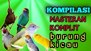 MASTERAN KOMPILASI, untuk masteran murai batu,masteran kenari,masteran pleci,masteran cililin dll.