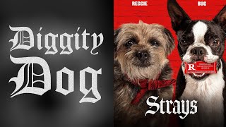 'Strays' is THE Comedy for Dog Owners | Review