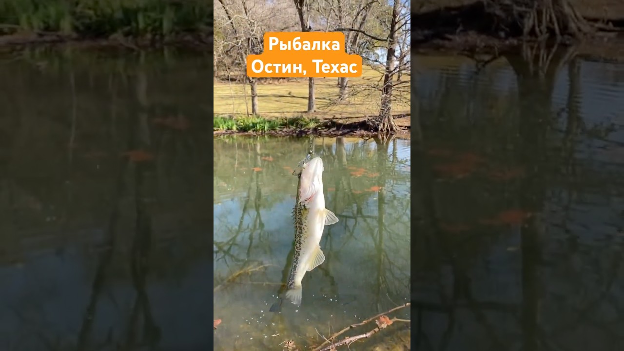 Рыбалка в притоке Колорадо, Остин, Техас