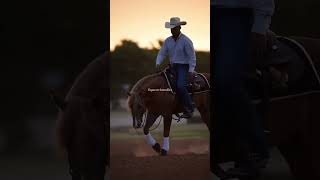 This song is actuality quite catchy  #trending #equestrian #shortsfeed #barbiemovie #shorts