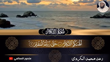 سورة التكاثر بصوت رعد محمد الكردي