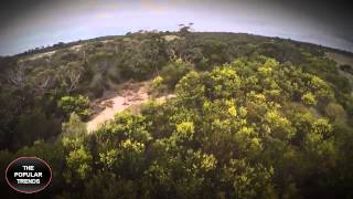 2m Wedge Tailed Eagle takes down Drone   Australia -The Popular Trens