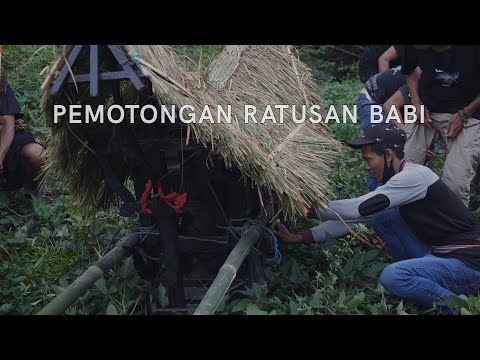 Tamu Istimewa (Rambu Solo )
