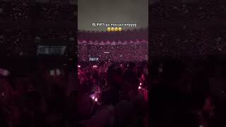 BLINKS GAMAU PULANG KONSER BLACKPINK !!!