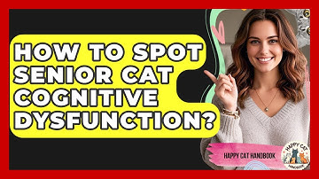 How To Spot Senior Cat Cognitive Dysfunction? - Happy Cat Handbook
