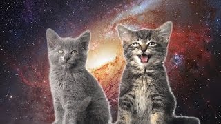 Space Cats - Magic Fly (oh)