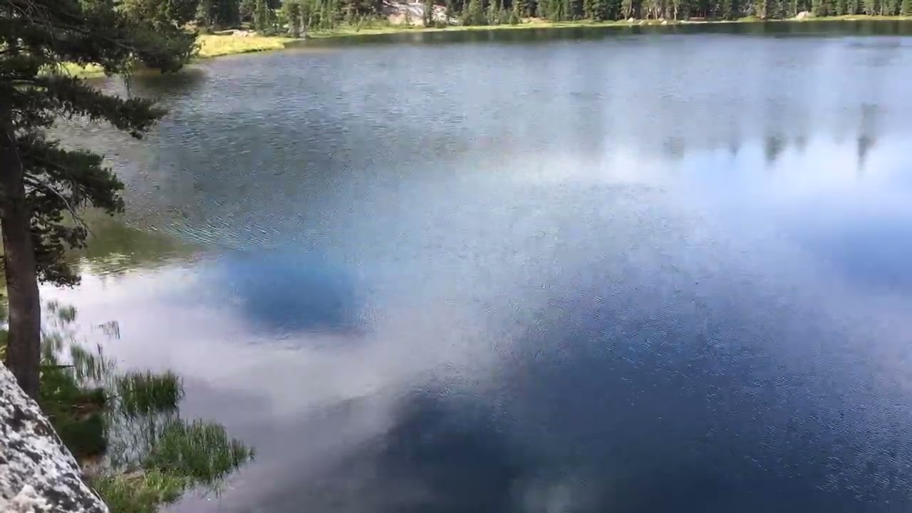Timelapse Wind/Ripples Across Bull Run Lake, Carson-Iceberg Wilderness, CA