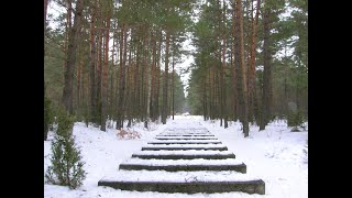 Treblinka - The 1943 Uprising (Episode 2)