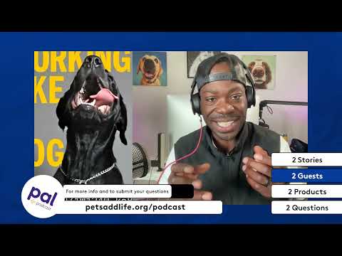 78. Vet-Tech Comedy, Animal Trainers & DEI in Vet Med