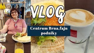 Nákup potravin Rohlík,centrum Brna-doporučení dobrých restaurací.VLOG #vlog #nakupy #brno