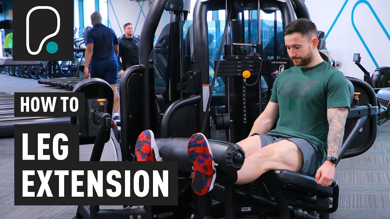 Seated Machine Leg Extensions – WorkoutLabs Exercise Guide