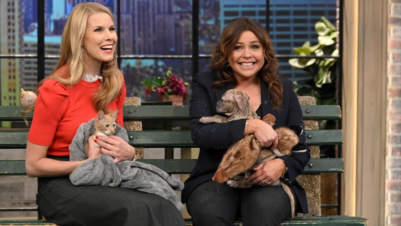 Beth Stern Brings a Kitten and PUPPIES To Talk Kitten Bowl 2020 | Rachael Ray Show