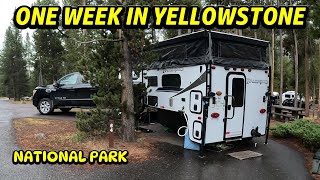 A Week In Yellowstone National Park
