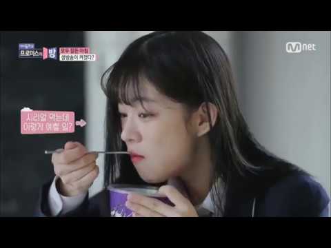 프로미스의 방} 등교길도 산만한 채영이 ㅋㅋㅋㅋㅋㅋㅋㅋ