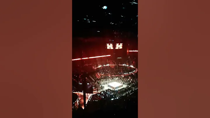 Pailen Birthday 2017 a WWE experience.