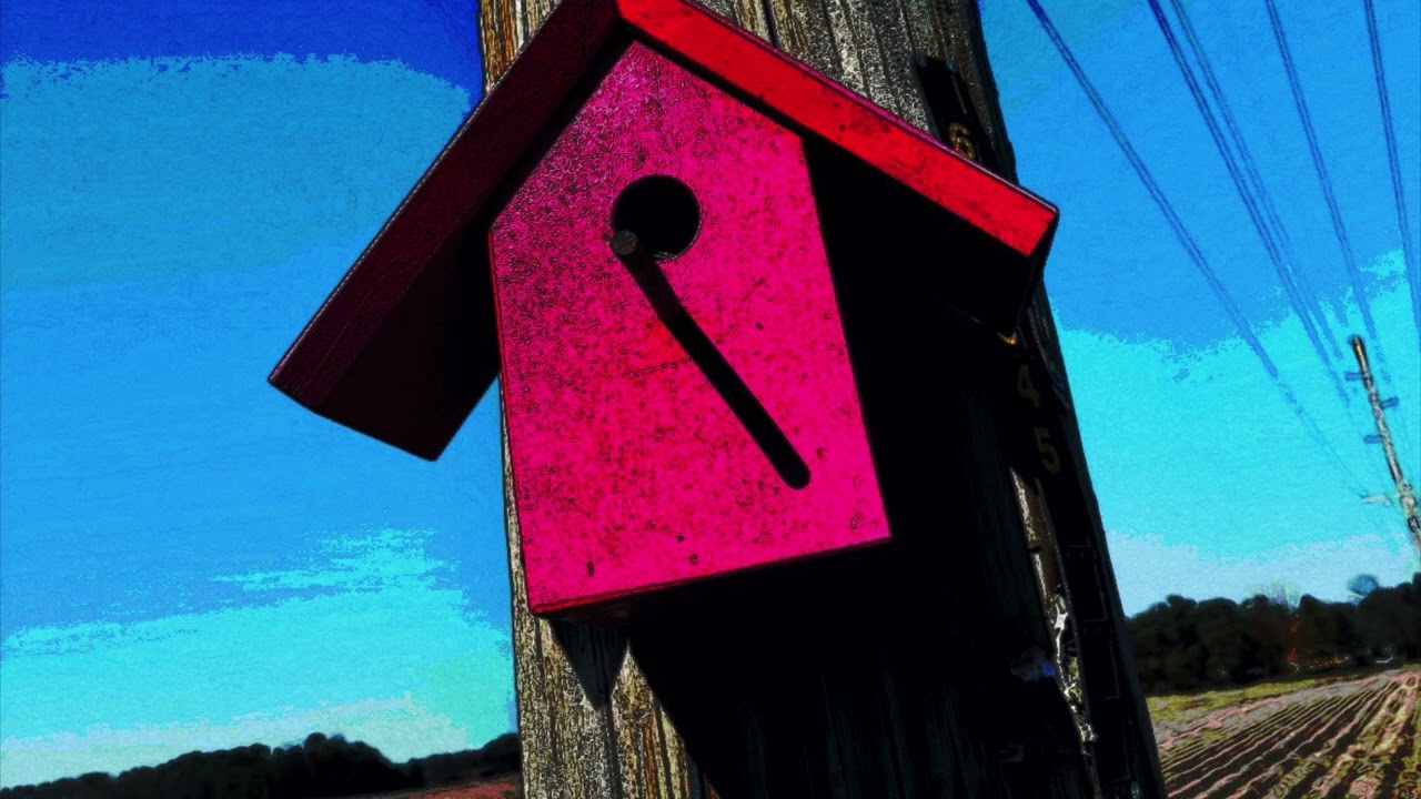 BUMP this (Prod Djshmee)