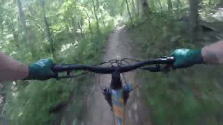 Bluff View Trail Packwood Flow and Zombie East - St. Louis, MO Mountain Biking