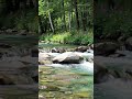 Deep Sleep & Relaxation #ambientmusic #nature #rainoundforsleep #instrumental #music #rainsounds