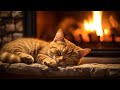 Peaceful Night with Purring Cat | Purr Sound &amp; Fireplace Sound for Sleeping, Relaxing in 24 Hours