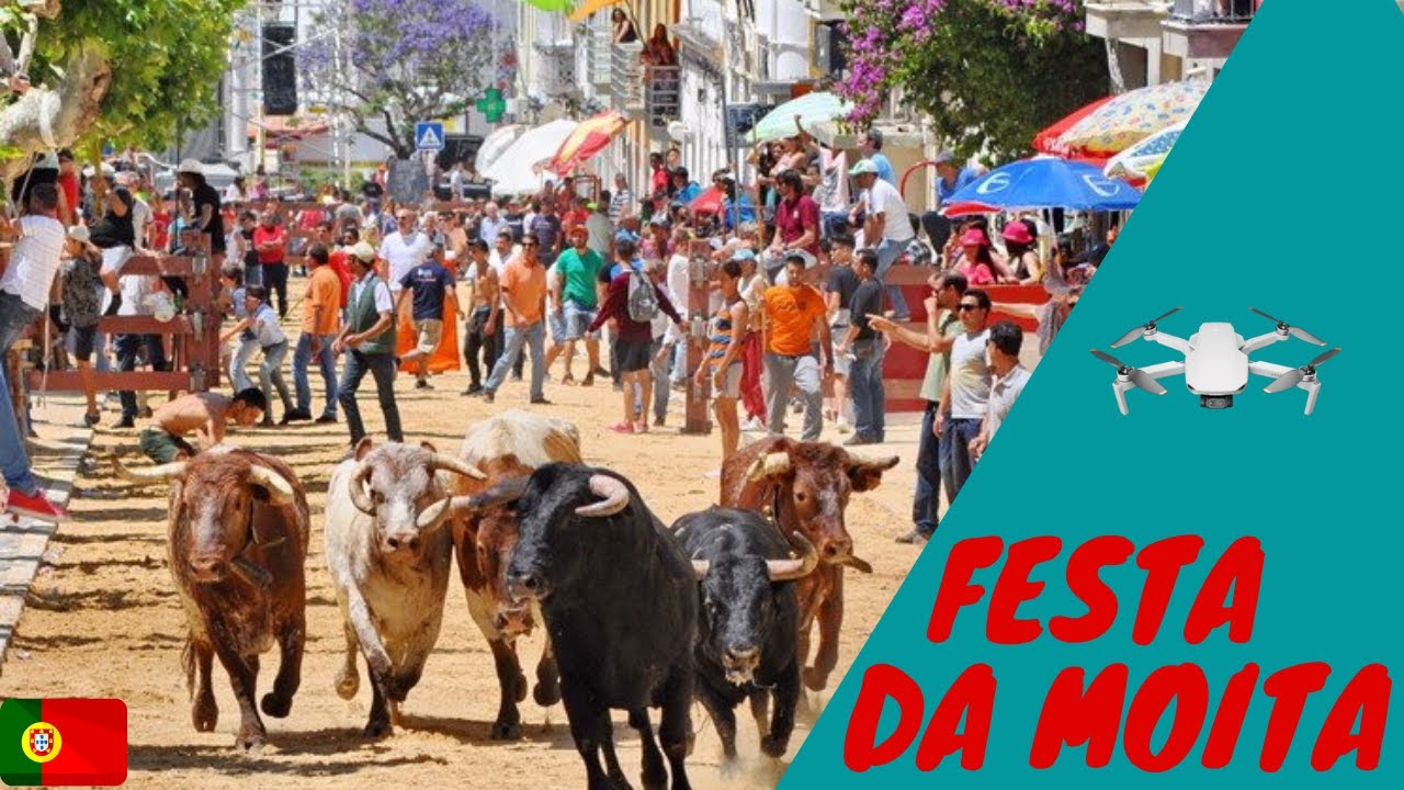 Party of Bulls Run In Moita Portugal filmed by a drone!