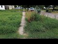 Crazy OVERGROWN Yard With HIDDEN Sidewalks Everywhere