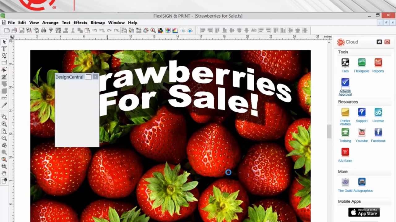 Flexisign 12 tutorial dasemad