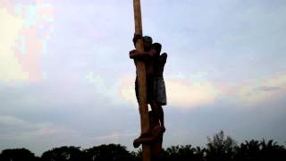 Best hot and Sexy gokil lucu Lomba panjat pinang