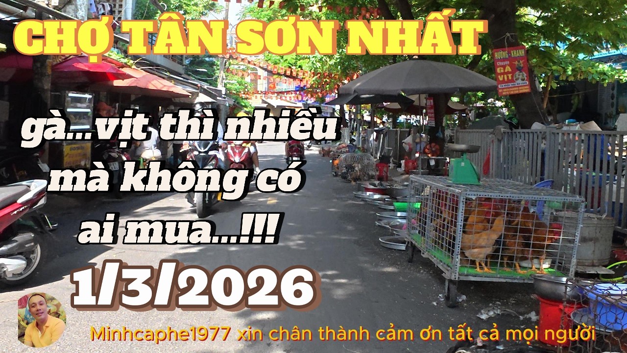 GÀ VỊT QUÁ TRỜI Ở CHỢ TÂN SƠN NHẤT...NGƯỜI MUA KHÔNG THẤY...1/3/2026