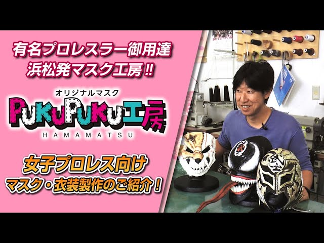 YN製 ハヤブサのプロレスマスク【タグ付き】【おまけで衣装】 何気ない