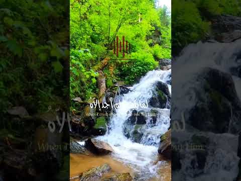 كلمات انشودة ايقنت ان الله يجبر خاطري منصور السالمي