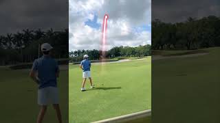 Hole 17 at Tiburón #golf #golfer #golfswing #golfshorts #pga #pgatour #shorts #viral #trending