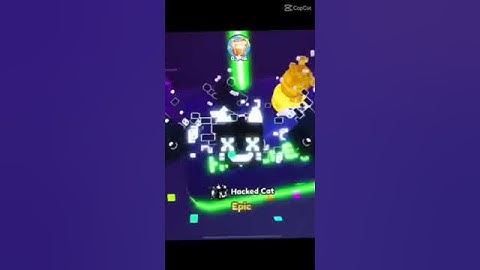 Trying to hatch huge hack cat