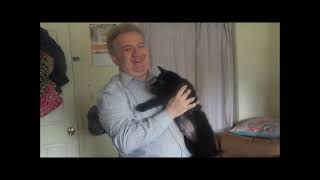 Volhard Puppy Test for a German Shepherd Litter #germanshepherdpuppy #volhard