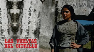 Las Vueltas Del Citrillo 2005 Película Mexicana